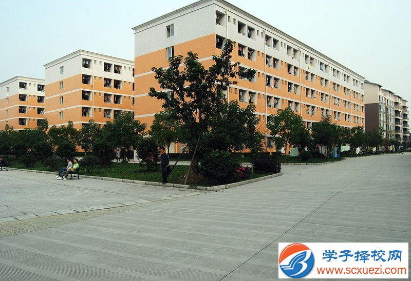 绵阳读中专学校好不好