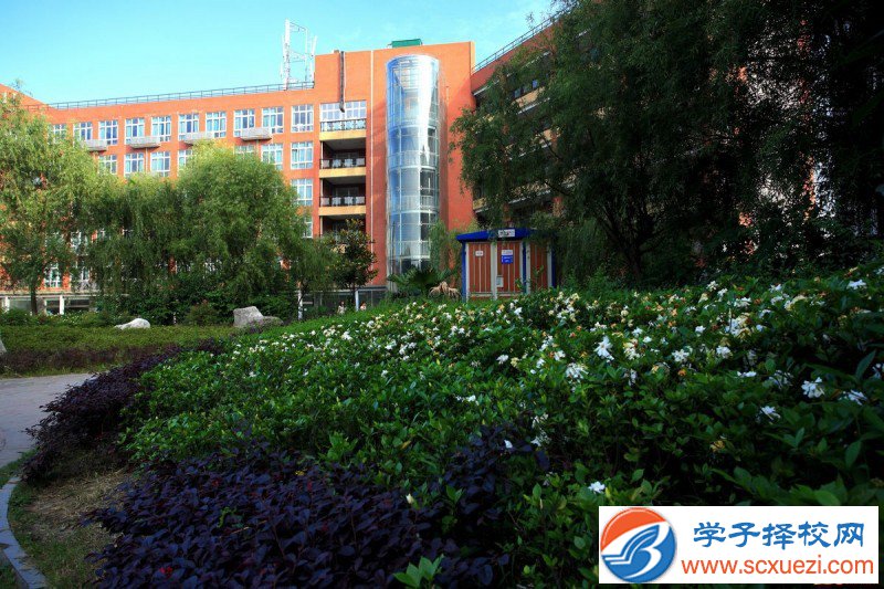 绵阳初中毕业可以读中专学校吗